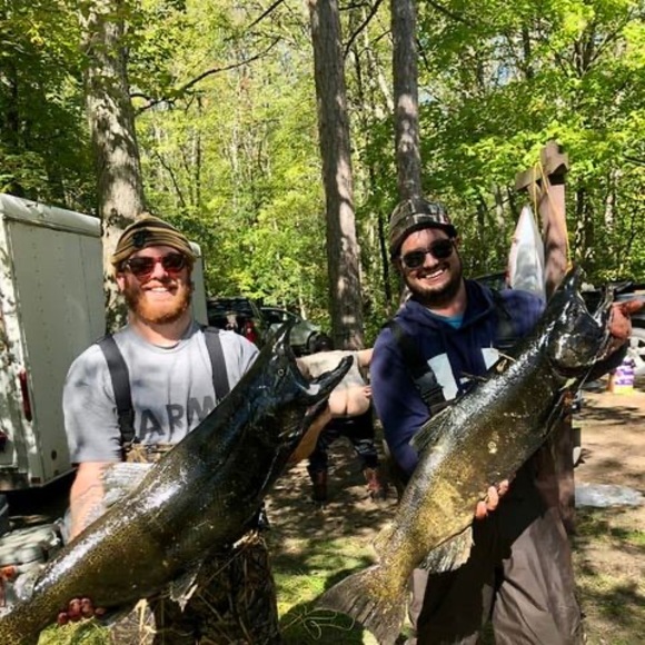 Meet your Posher, Steven - Picture 1 of 1